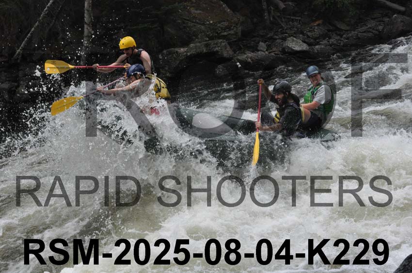 RSM-2025-08-04-K229
