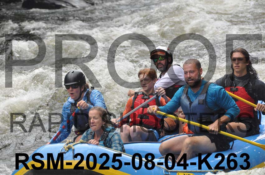 RSM-2025-08-04-K263