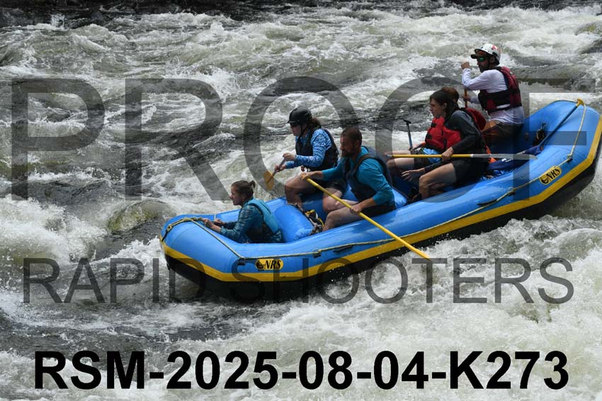 RSM-2025-08-04-K273