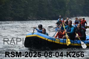RSM-2025-08-04-K266