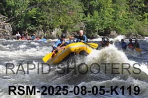 RSM-2025-08-05-K119