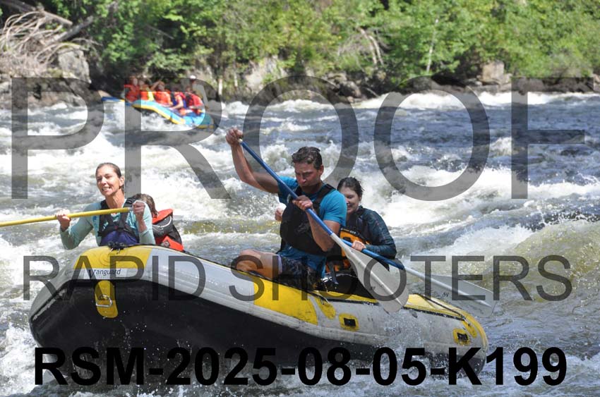 RSM-2025-08-05-K199