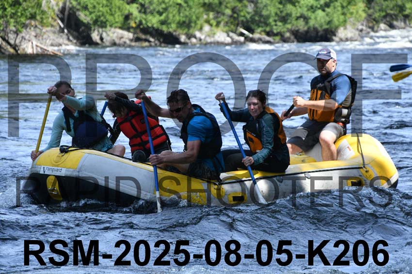 RSM-2025-08-05-K206