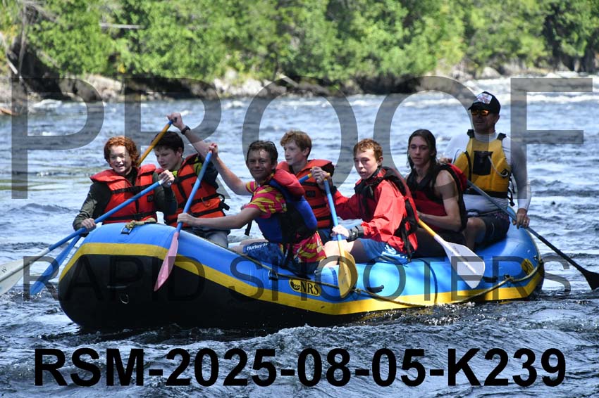 RSM-2025-08-05-K239