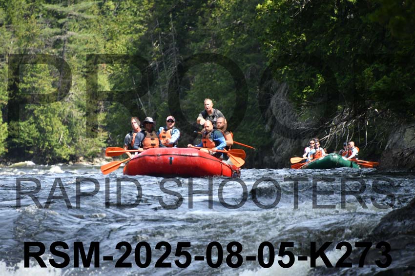 RSM-2025-08-05-K273