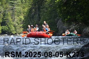 RSM-2025-08-05-K273
