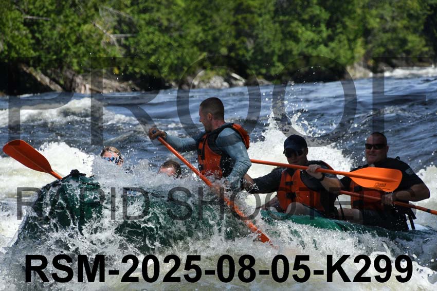 RSM-2025-08-05-K299