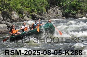 RSM-2025-08-05-K288