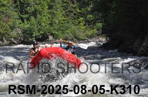 RSM-2025-08-05-K310