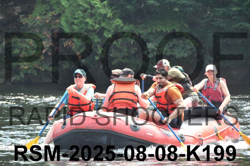 RSM-2025-08-08-K199