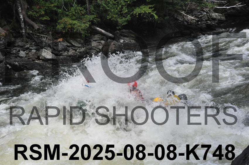 RSM-2025-08-08-K748