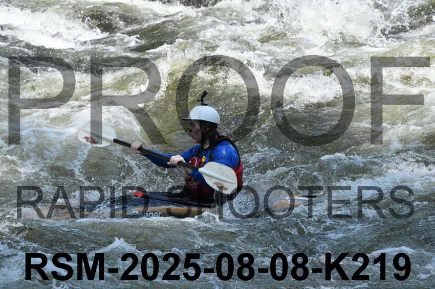 RSM-2025-08-08-K219