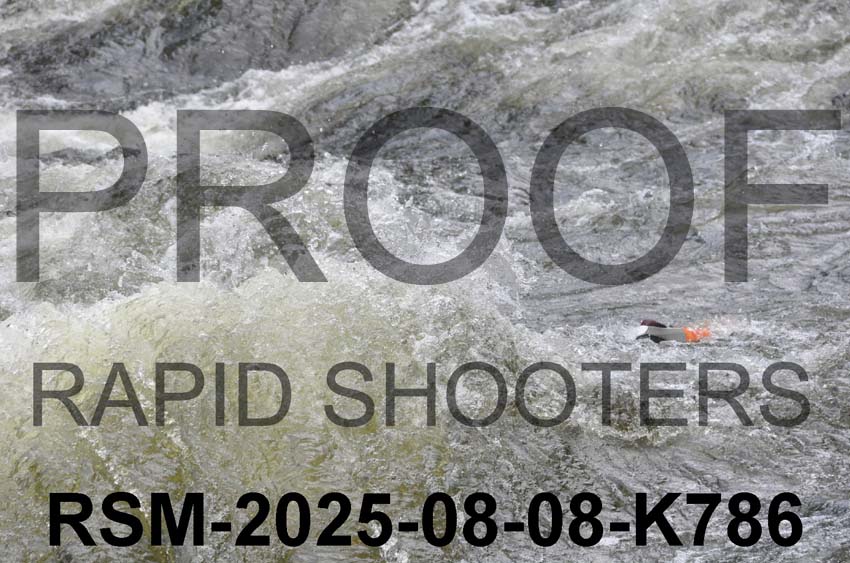 RSM-2025-08-08-K786