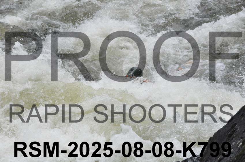 RSM-2025-08-08-K799