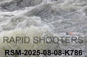 RSM-2025-08-08-K786