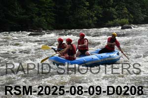 RSM-2025-08-09-D0208