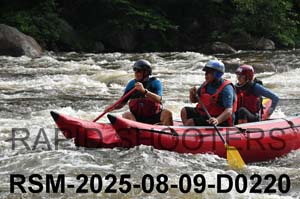 RSM-2025-08-09-D0220