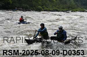 RSM-2025-08-09-D0353