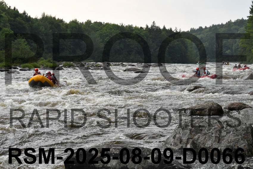 RSM-2025-08-09-D0066
