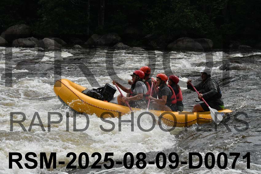 RSM-2025-08-09-D0071