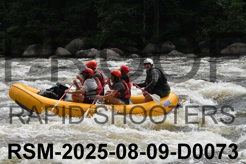 RSM-2025-08-09-D0073