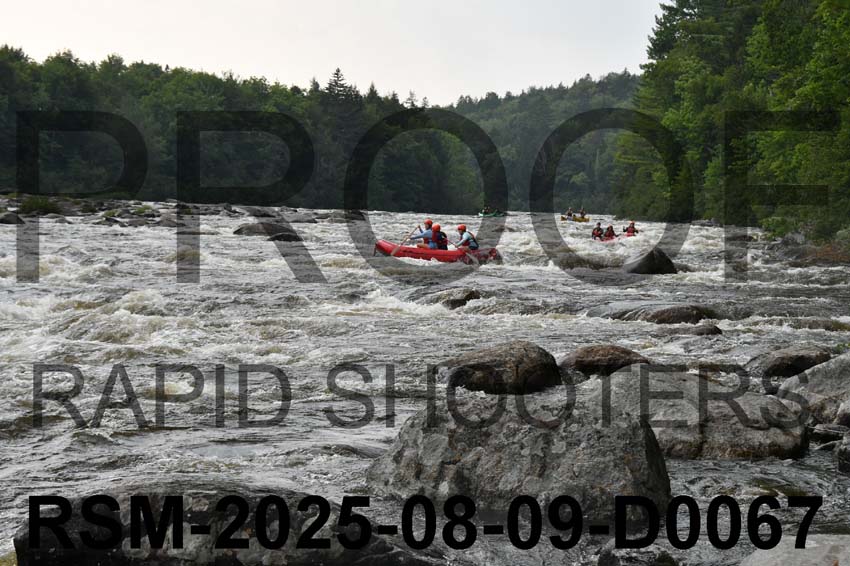 RSM-2025-08-09-D0067