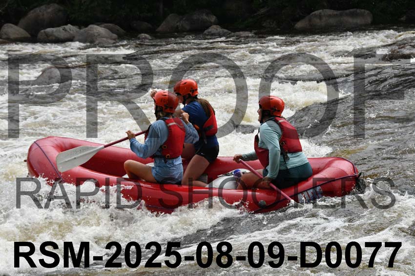 RSM-2025-08-09-D0077