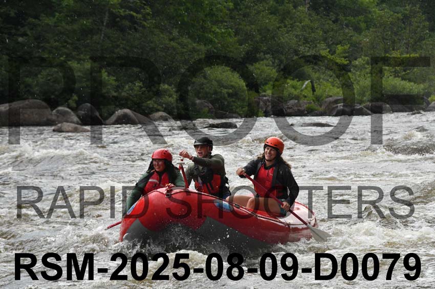 RSM-2025-08-09-D0079