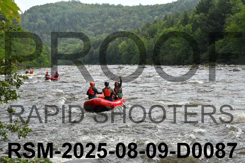 RSM-2025-08-09-D0087