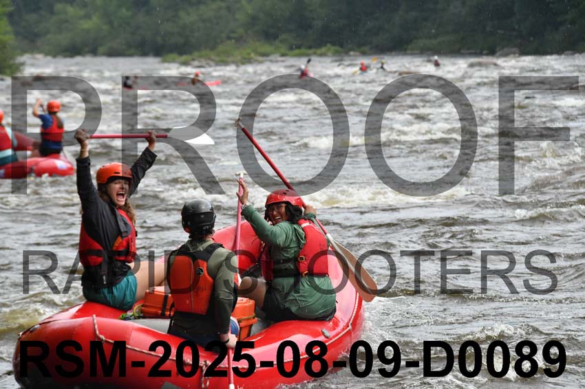 RSM-2025-08-09-D0089