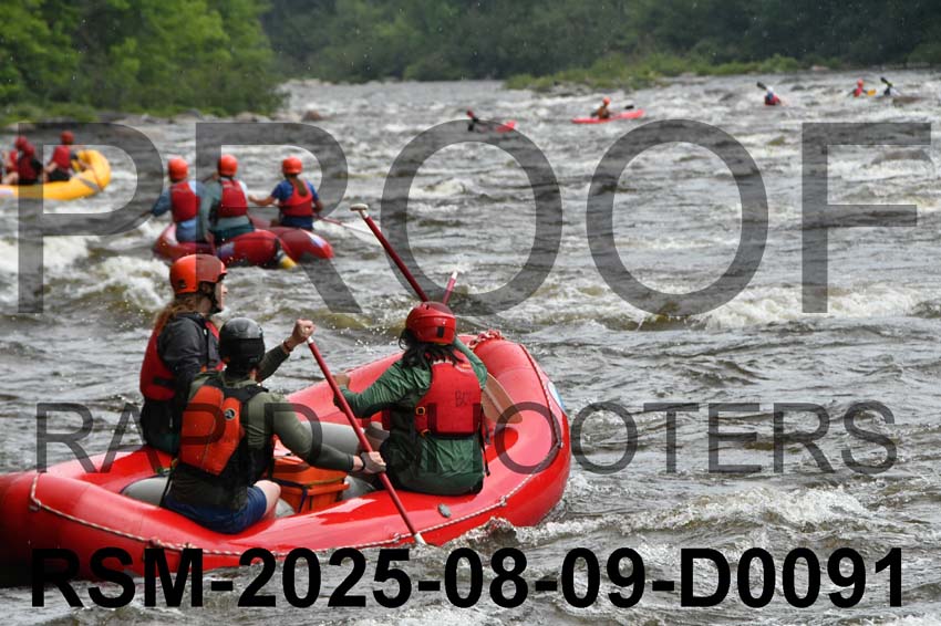 RSM-2025-08-09-D0091