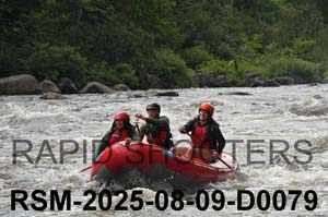 RSM-2025-08-09-D0079