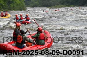 RSM-2025-08-09-D0091
