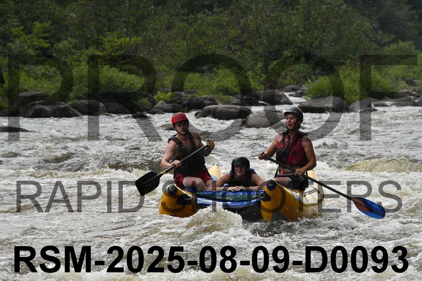 RSM-2025-08-09-D0093