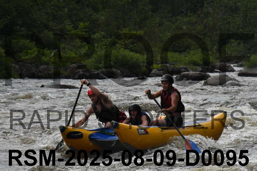 RSM-2025-08-09-D0095