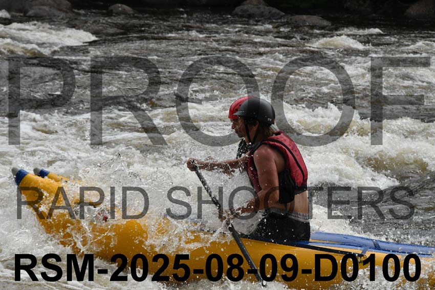 RSM-2025-08-09-D0100