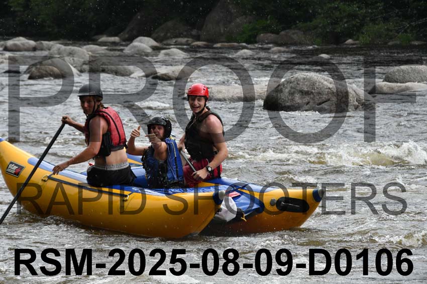 RSM-2025-08-09-D0106