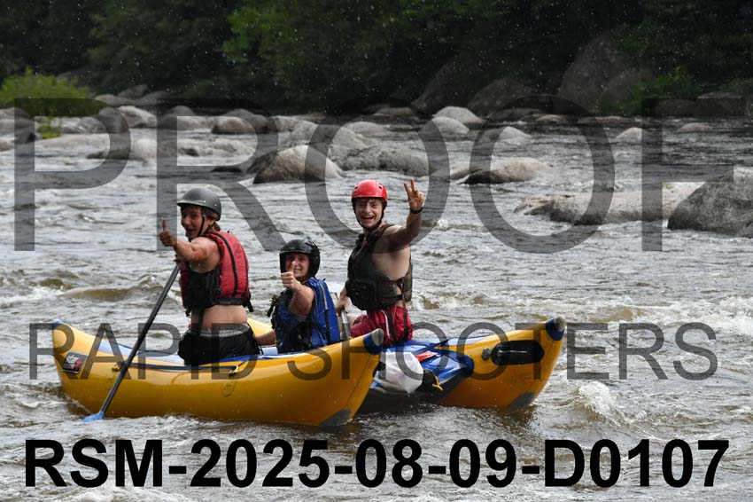 RSM-2025-08-09-D0107