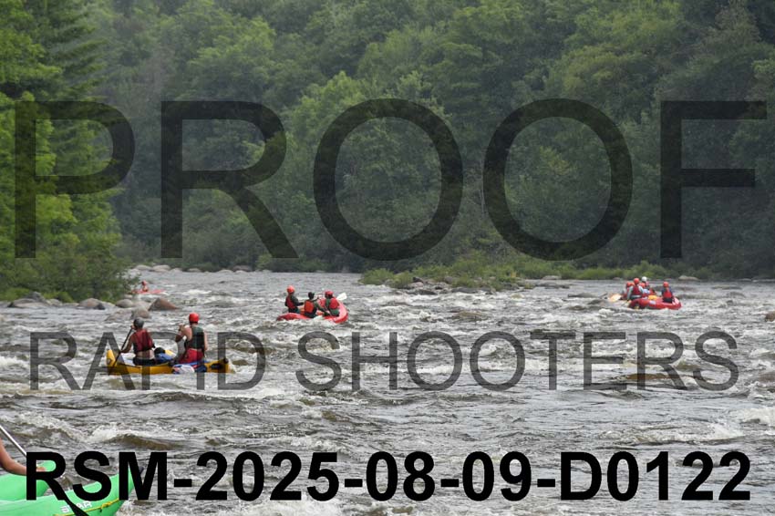 RSM-2025-08-09-D0122