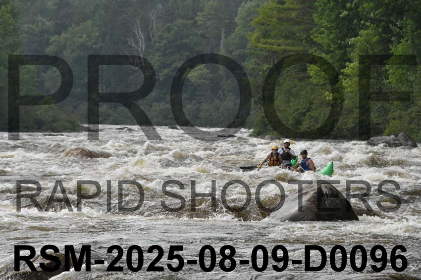 RSM-2025-08-09-D0096