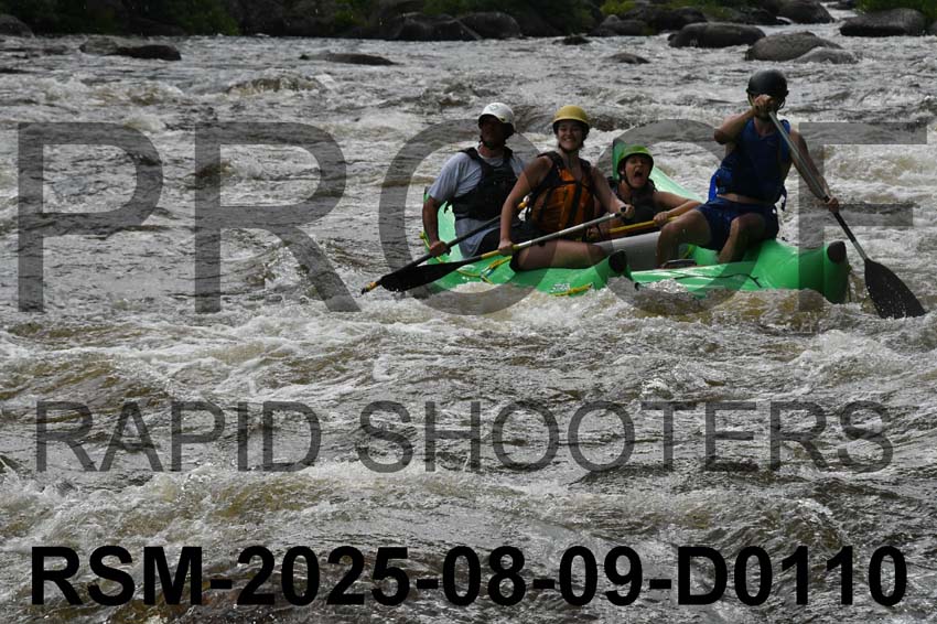 RSM-2025-08-09-D0110