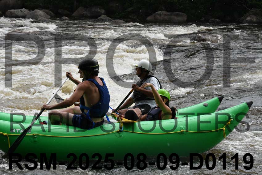 RSM-2025-08-09-D0119