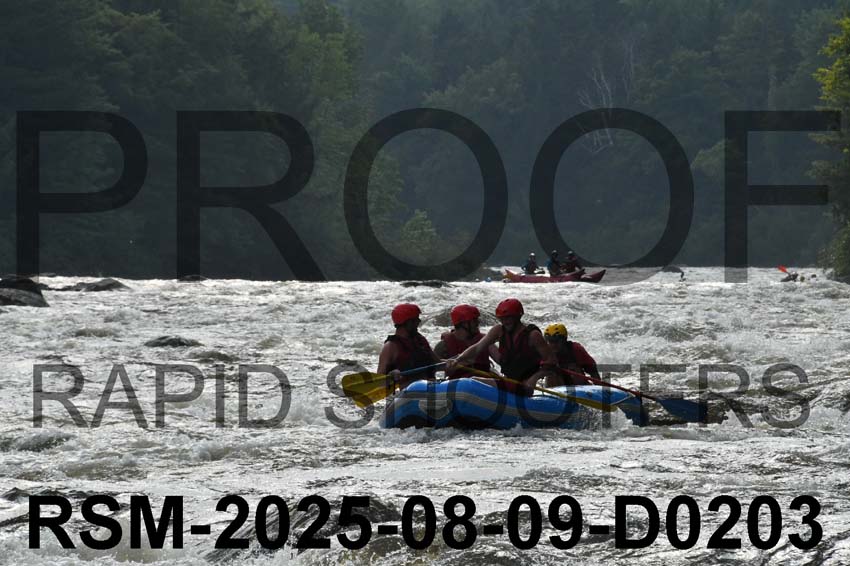 RSM-2025-08-09-D0203