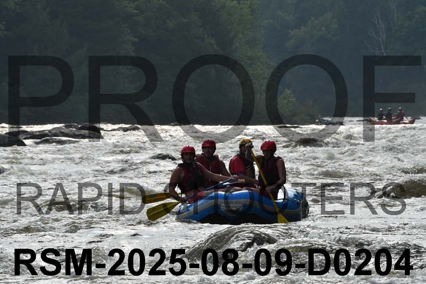 RSM-2025-08-09-D0204