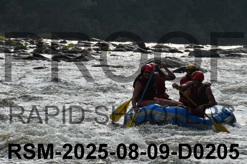 RSM-2025-08-09-D0205