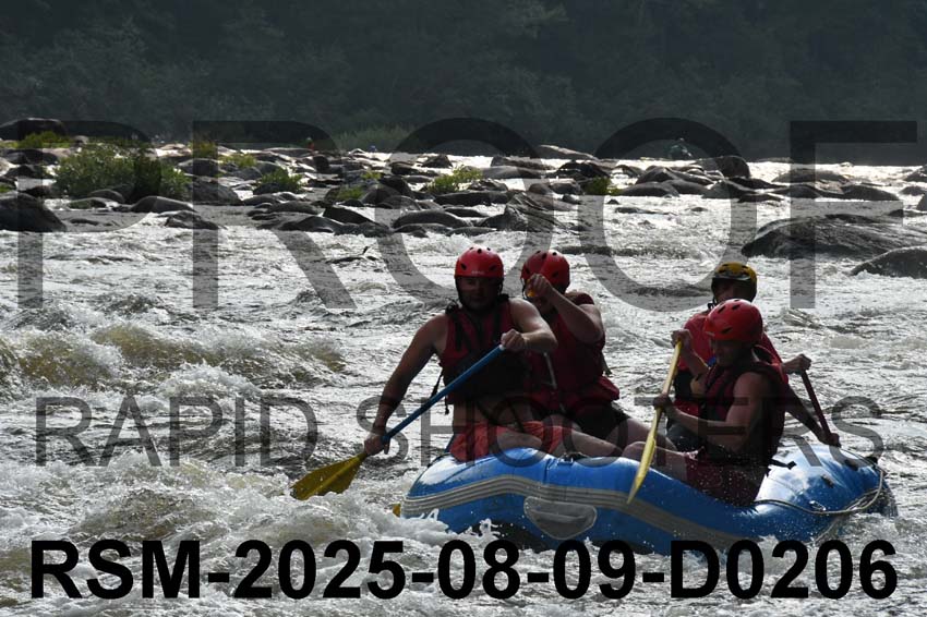 RSM-2025-08-09-D0206