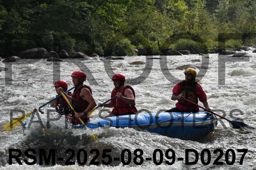 RSM-2025-08-09-D0207