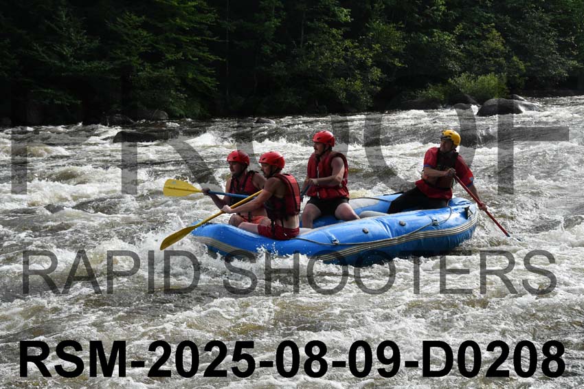 RSM-2025-08-09-D0208