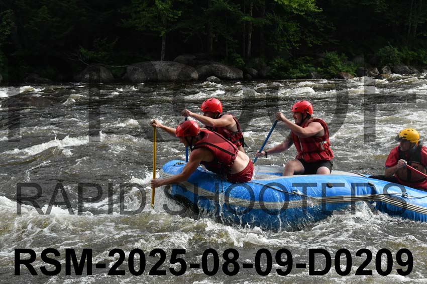 RSM-2025-08-09-D0209