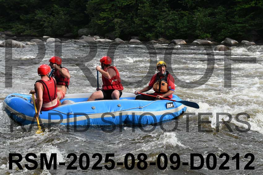 RSM-2025-08-09-D0212